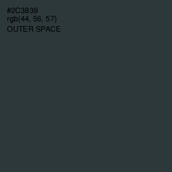 #2C3839 - Outer Space Color Image