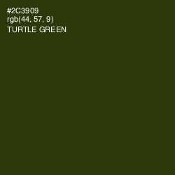 #2C3909 - Turtle Green Color Image