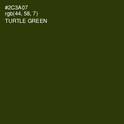 #2C3A07 - Turtle Green Color Image