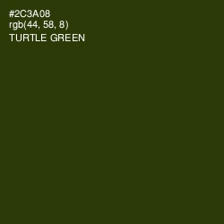 #2C3A08 - Turtle Green Color Image