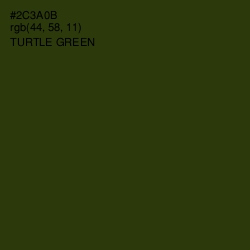 #2C3A0B - Turtle Green Color Image