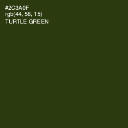 #2C3A0F - Turtle Green Color Image