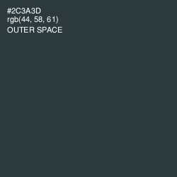 #2C3A3D - Outer Space Color Image