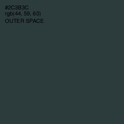 #2C3B3C - Outer Space Color Image