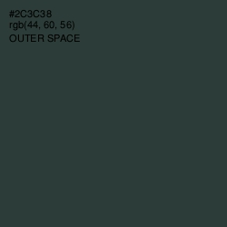 #2C3C38 - Outer Space Color Image