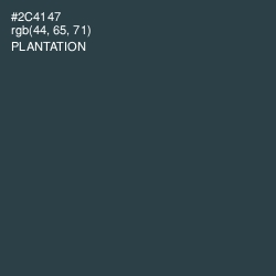 #2C4147 - Plantation Color Image