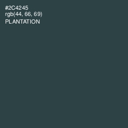 #2C4245 - Plantation Color Image