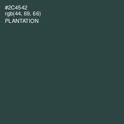 #2C4542 - Plantation Color Image