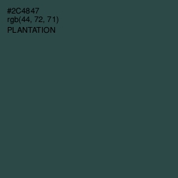 #2C4847 - Plantation Color Image