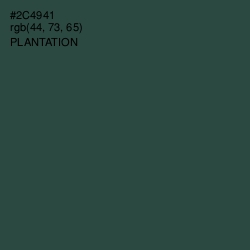 #2C4941 - Plantation Color Image