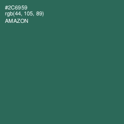 #2C6959 - Amazon Color Image