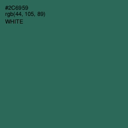 #2C6959 - Amazon Color Image