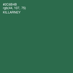 #2C6B4B - Killarney Color Image