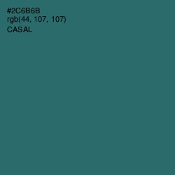 #2C6B6B - Casal Color Image