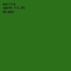 #2C7119 - Bilbao Color Image