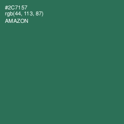 #2C7157 - Amazon Color Image