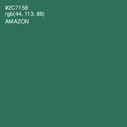 #2C7158 - Amazon Color Image