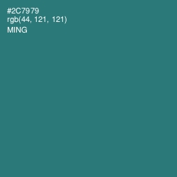 #2C7979 - Ming Color Image