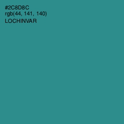 #2C8D8C - Lochinvar Color Image