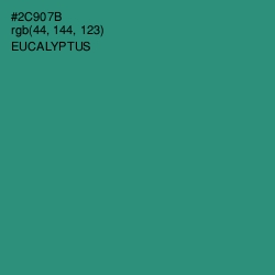 #2C907B - Eucalyptus Color Image