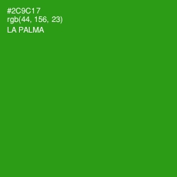 #2C9C17 - La Palma Color Image