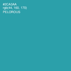 #2CA0AA - Pelorous Color Image