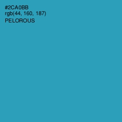 #2CA0BB - Pelorous Color Image