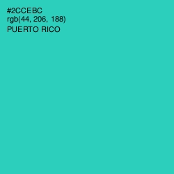 #2CCEBC - Puerto Rico Color Image