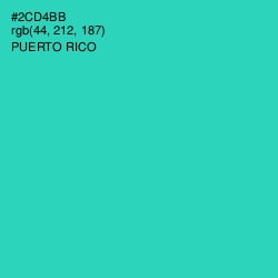 #2CD4BB - Puerto Rico Color Image