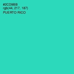 #2CD9BB - Puerto Rico Color Image