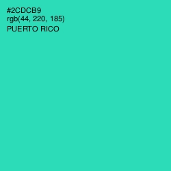 #2CDCB9 - Puerto Rico Color Image