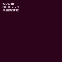 #2D021B - Aubergine Color Image