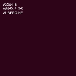 #2D0418 - Aubergine Color Image