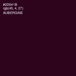#2D041B - Aubergine Color Image