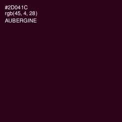 #2D041C - Aubergine Color Image