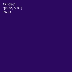 #2D0861 - Paua Color Image