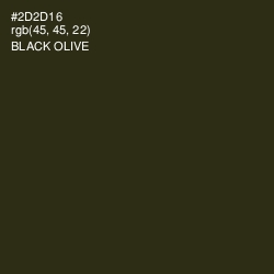 #2D2D16 - Black Olive Color Image