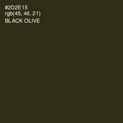 #2D2E15 - Black Olive Color Image