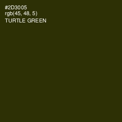 #2D3005 - Turtle Green Color Image