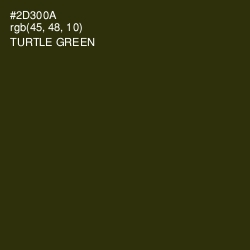 #2D300A - Turtle Green Color Image