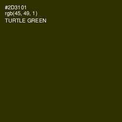 #2D3101 - Turtle Green Color Image