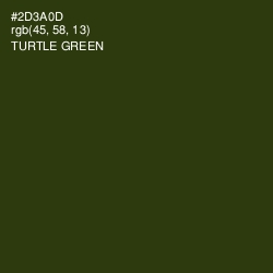 #2D3A0D - Turtle Green Color Image