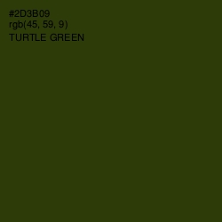 #2D3B09 - Turtle Green Color Image