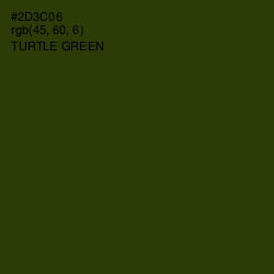 #2D3C06 - Turtle Green Color Image