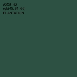 #2D5142 - Plantation Color Image