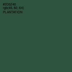 #2D5240 - Plantation Color Image