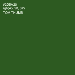 #2D5A20 - Tom Thumb Color Image