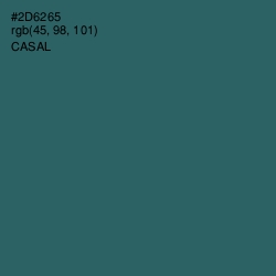 #2D6265 - Casal Color Image