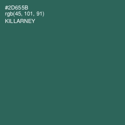 #2D655B - Killarney Color Image