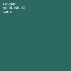 #2D6963 - Casal Color Image
